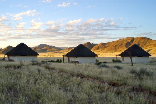 Desert Homestead (1)